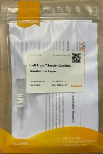[LY-40802ES03] Hieff TransTM Liposomal Transfection Reagent -1 mL