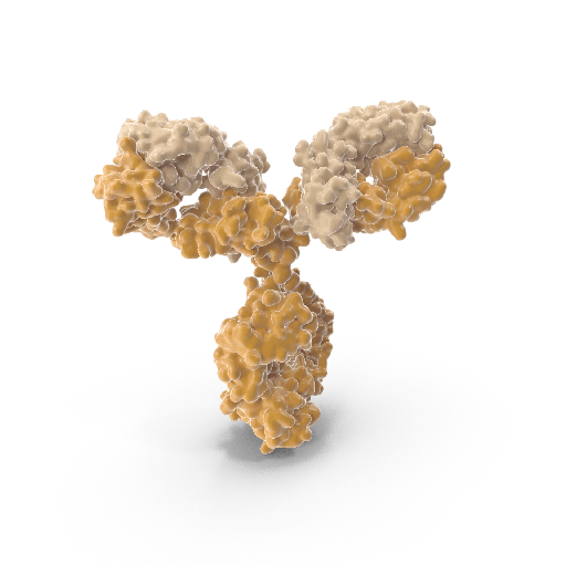 [0015-AE-327305-1] Mouse Antisize:VSV Indiana Glycoprotein  GP  antibody  VSVIG  IgM ELISA Kit, 96 tests, Quantitative size: 1 kit